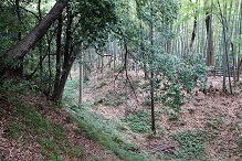d0183387_23413530.jpg