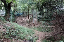 d0183387_23502299.jpg