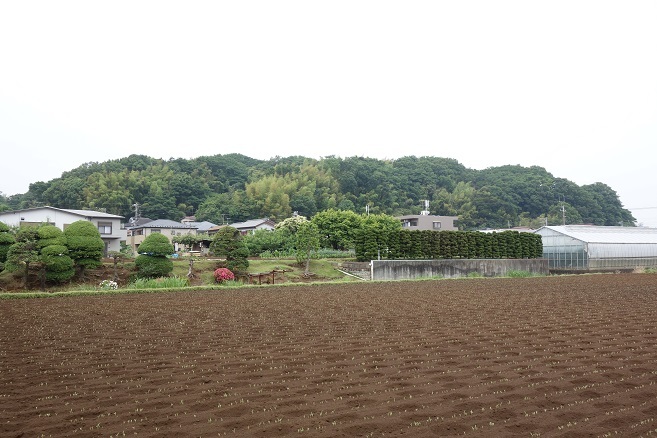 d0183387_23593278.jpg