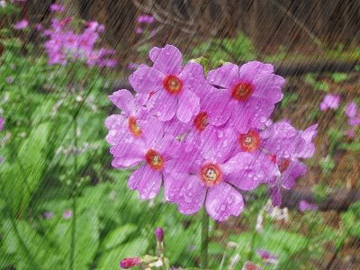 f0357487_2137632.gif