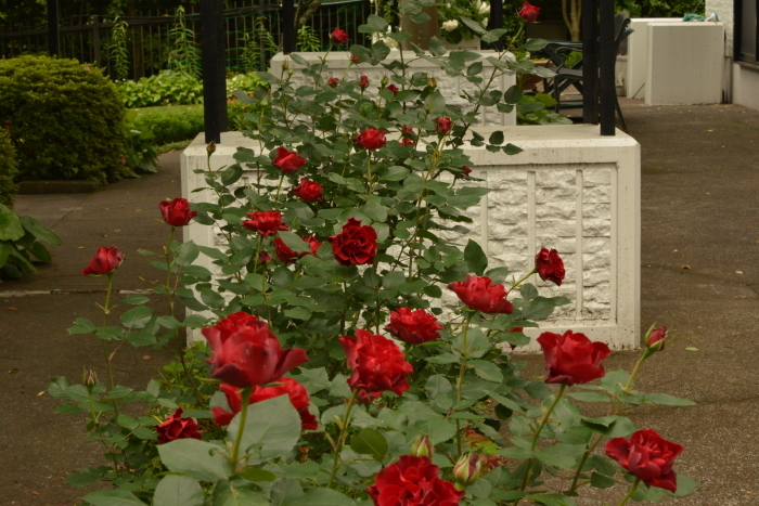 f0268294_23375018.jpg