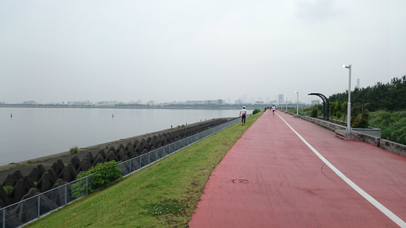 f0100911_21395737.jpg