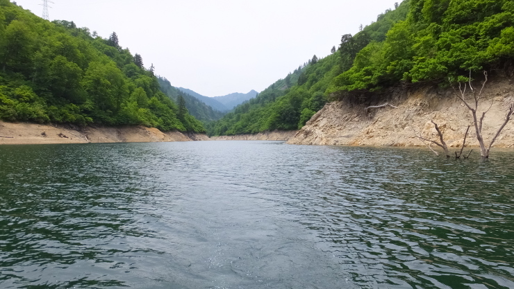 c0232813_23395606.jpg