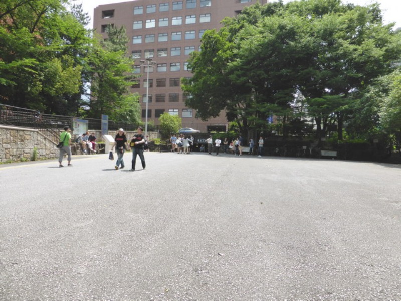 b0174217_8391555.jpg