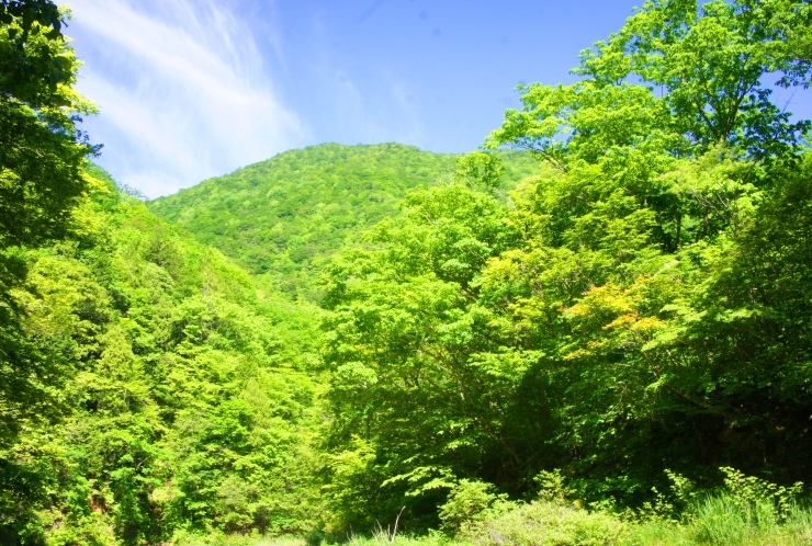 d0257922_08184428.jpg