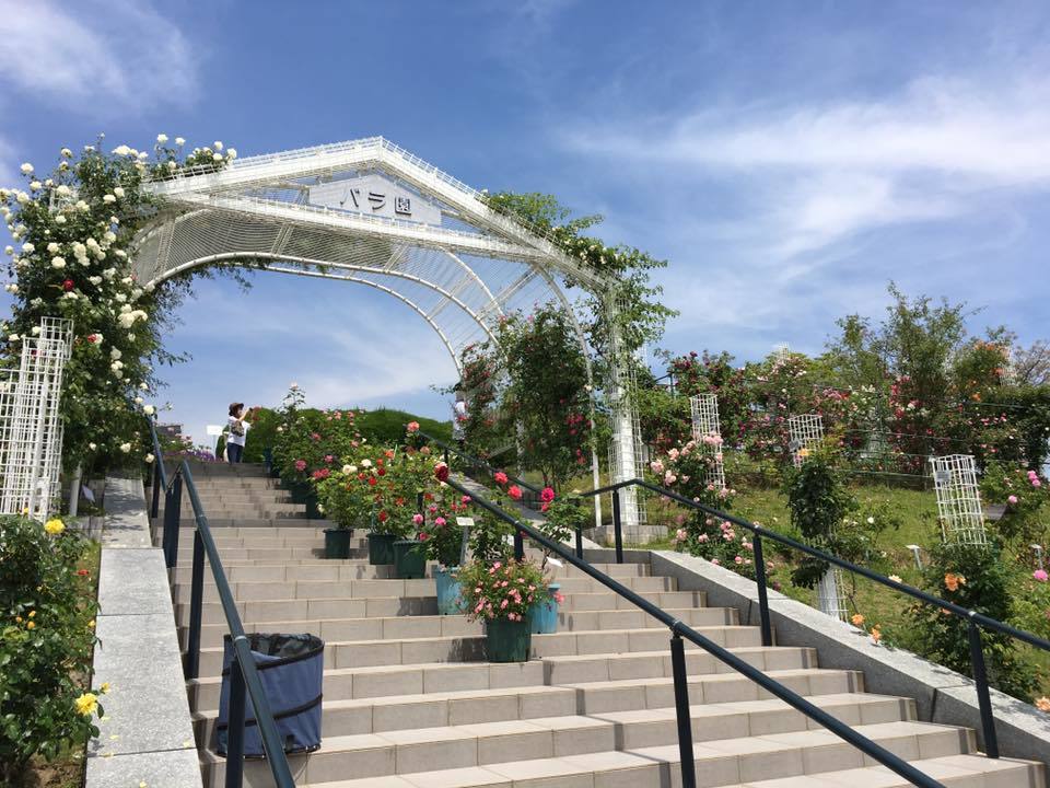 f0231829_23102981.jpg