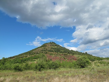 d0167041_23293558.jpg