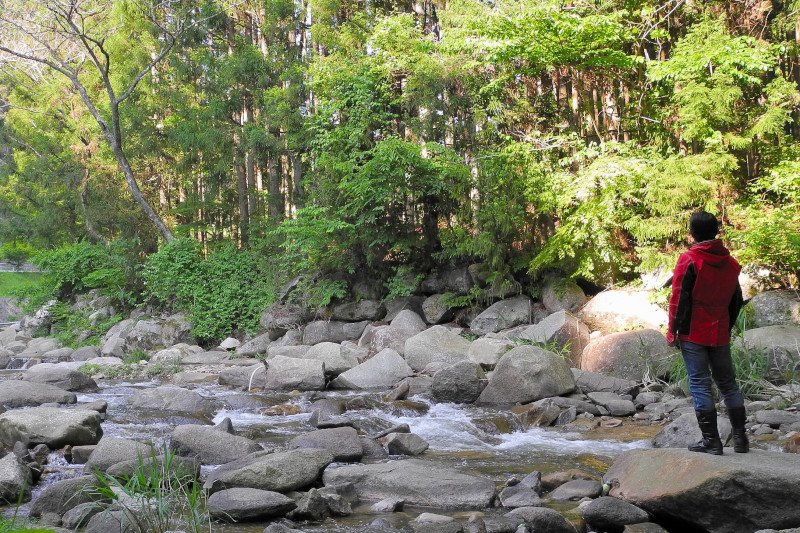 d0164443_8492126.jpg