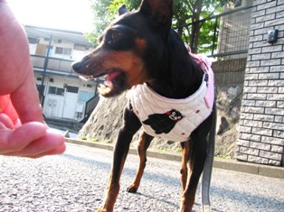 e0150843_2345418.jpg