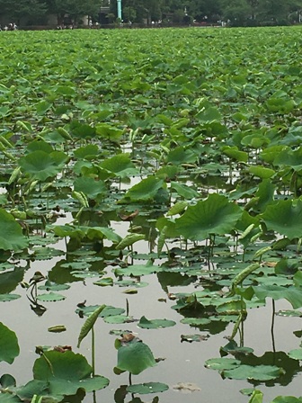 c0141844_024352.jpg
