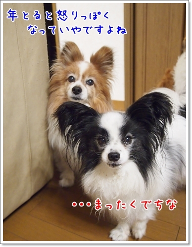 d0013149_23390461.jpg