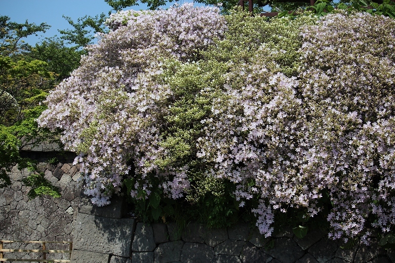 b0250154_21011444.jpg