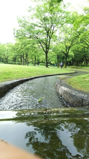 b0253057_13432784.jpg