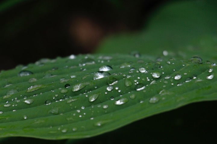a0248459_15443067.jpg