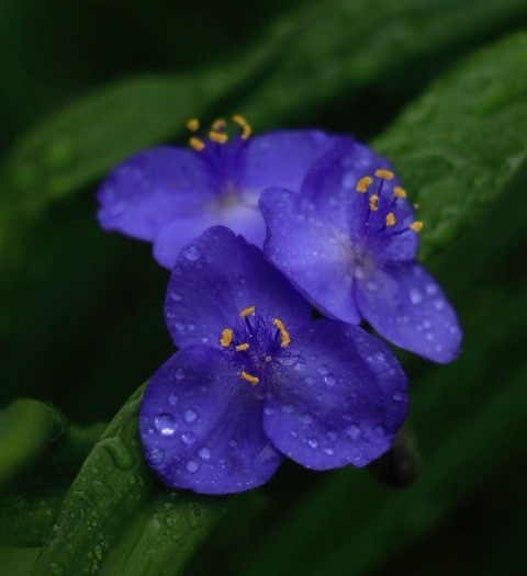 a0248459_15450609.jpg