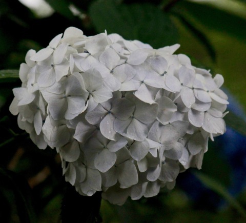 a0248459_15540190.jpg