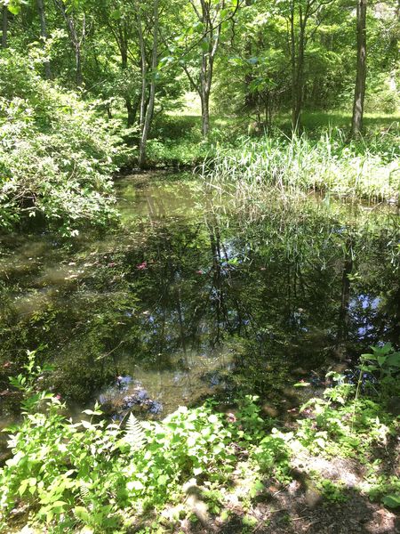 c0115660_17223246.jpg