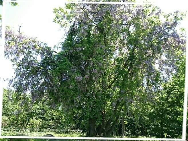 f0201565_13154434.jpg
