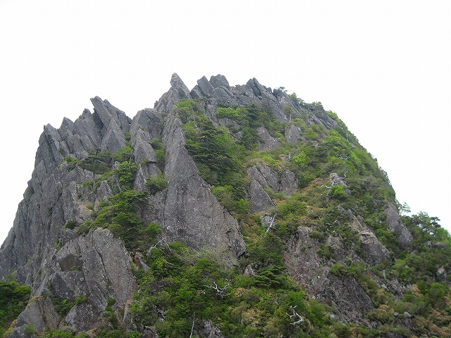 c0219866_1726421.jpg