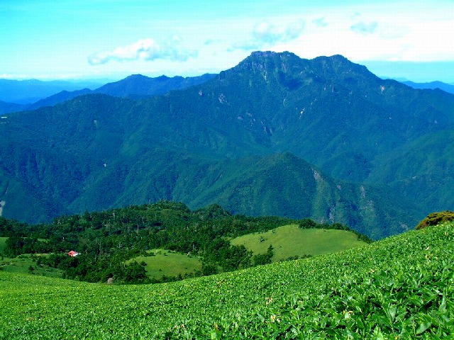 c0219866_17292451.jpg