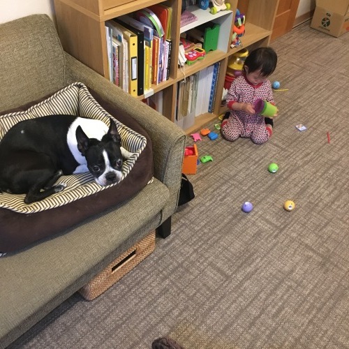 d0041575_20013182.jpeg