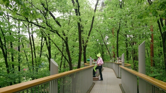 b0169887_04442295.jpg
