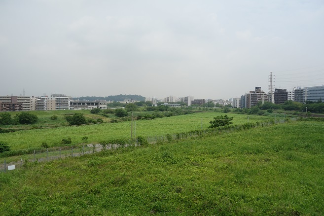 d0183387_11573910.jpg
