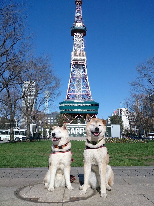 c0123890_1985696.jpg