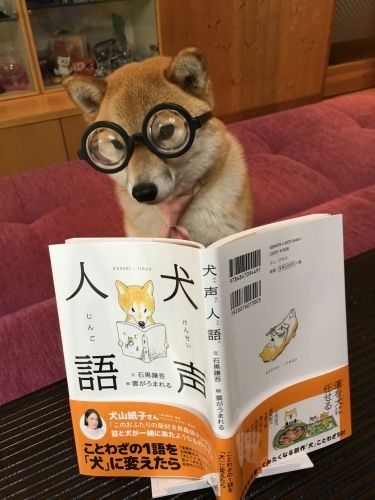 f0360794_17451527.jpeg