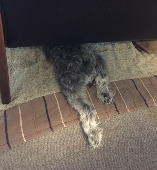b0188998_23215558.jpeg