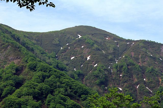 e0137200_20511339.jpg