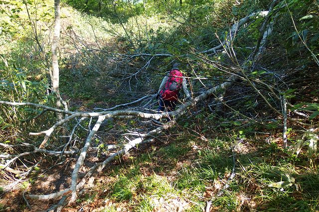 e0137200_2111378.jpg