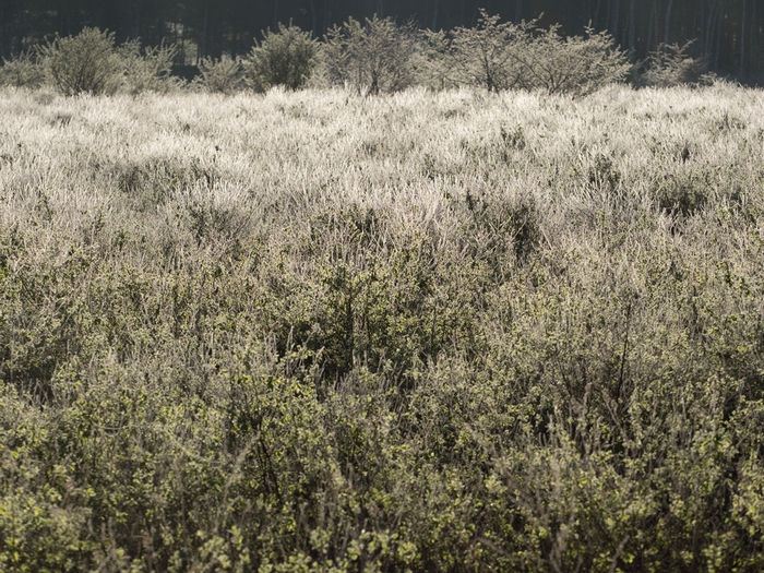 f0224100_2151613.jpg