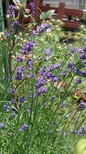 e0351303_22090706.jpg
