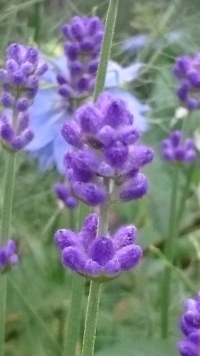 e0351303_22094137.jpg
