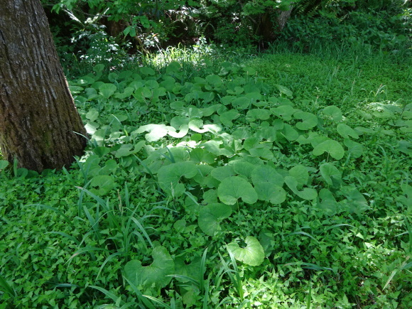c0369304_23351993.jpg