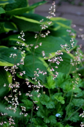 f0041606_13183461.jpg