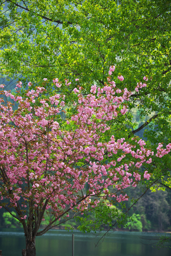a0263109_20353779.jpg