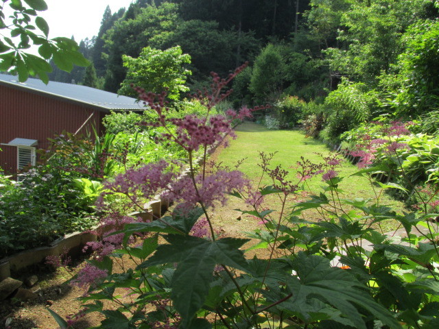 f0341616_16283779.jpg