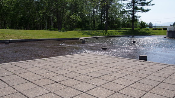 b0210322_13512617.jpg