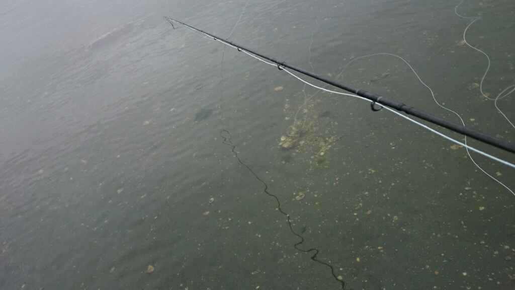 b0259124_21341669.jpg