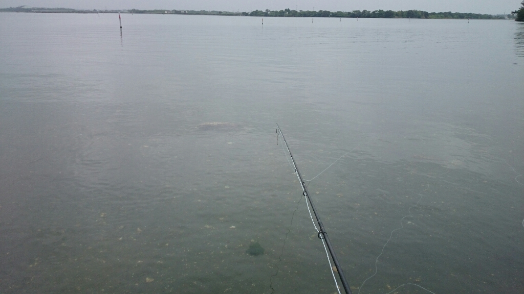 b0259124_21361105.jpg