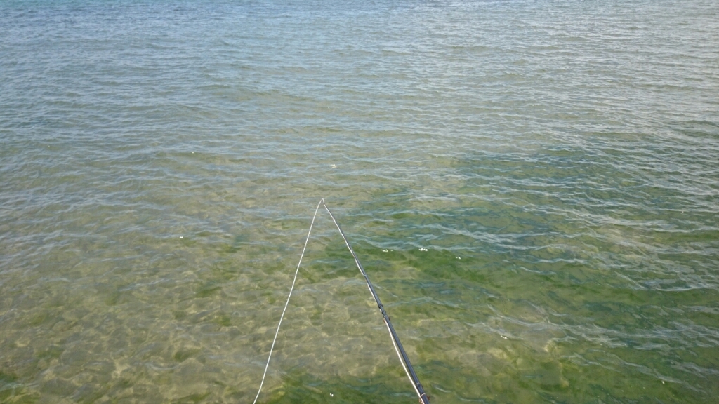 b0259124_22240834.jpg