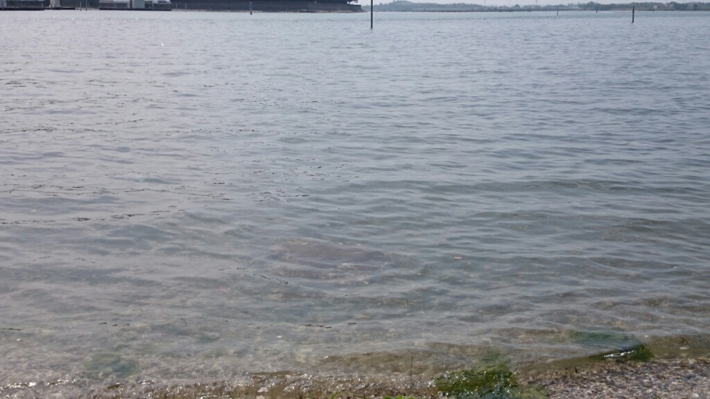 b0259124_22252731.jpg