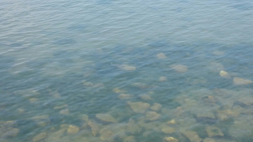 b0259124_22260165.jpg