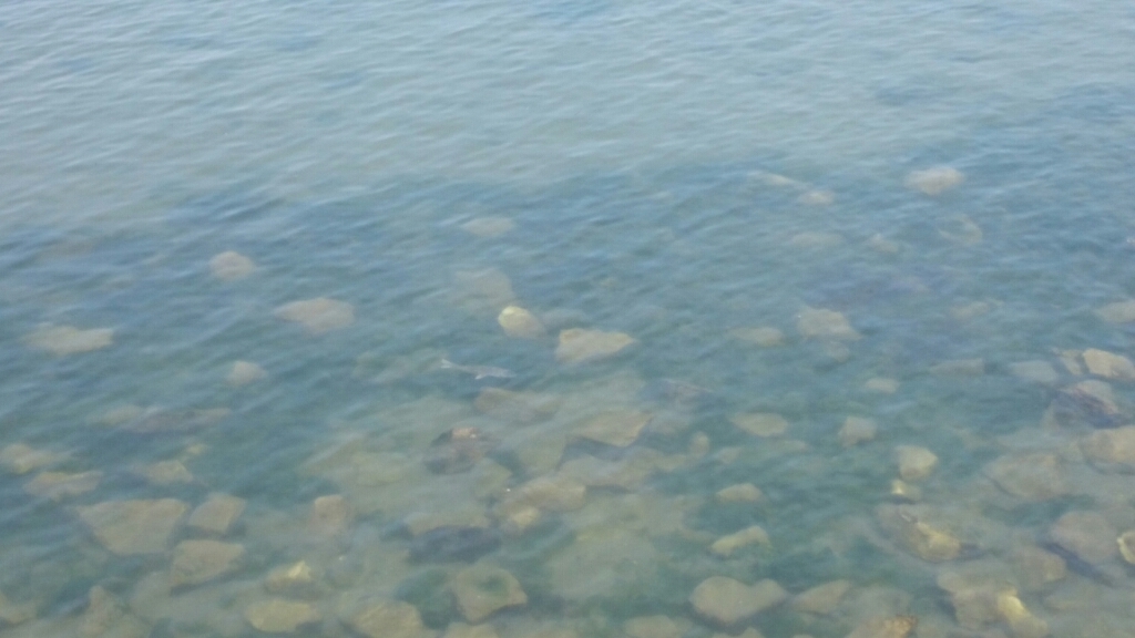 b0259124_22263625.jpg