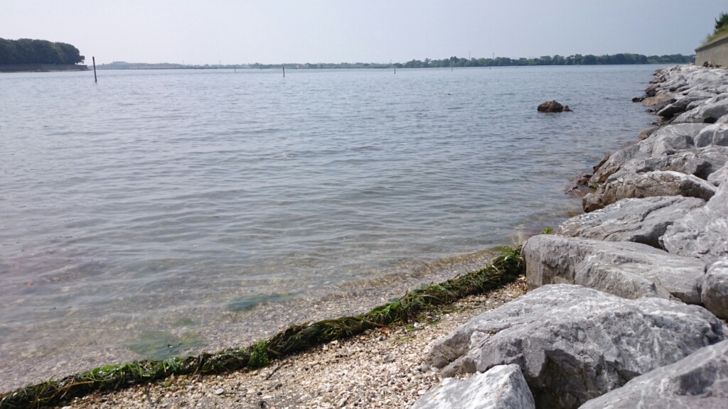 b0259124_22272325.jpg