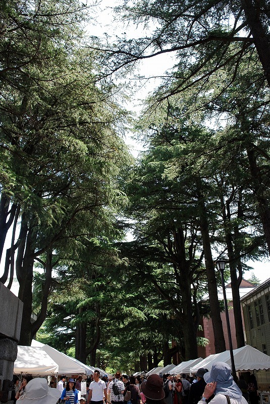 c0358326_16320916.jpg