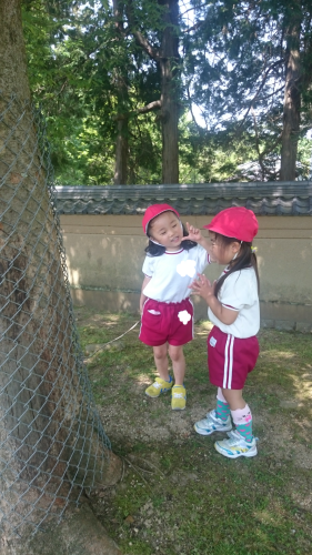 d0151227_21500360.png