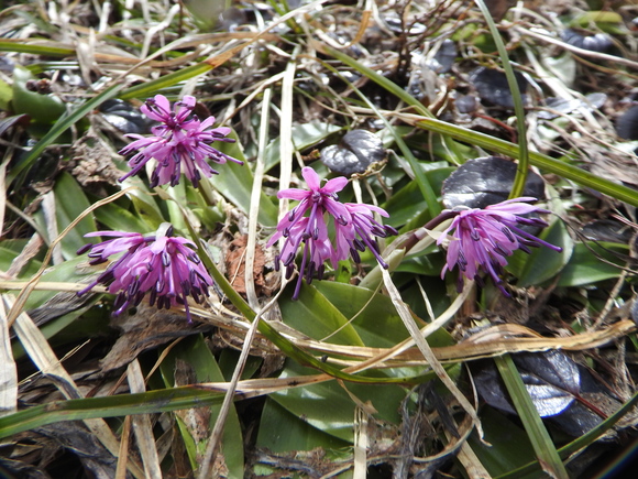 f0118332_0183099.jpg